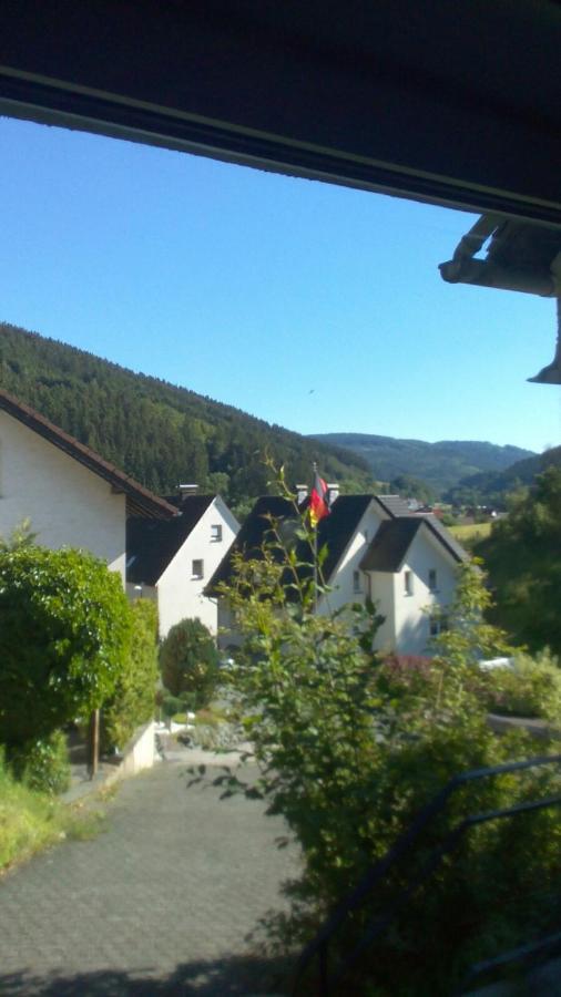 Fewo Pacohaus Naehe Willingen Diemelsee Brilon Eksteriør billede
