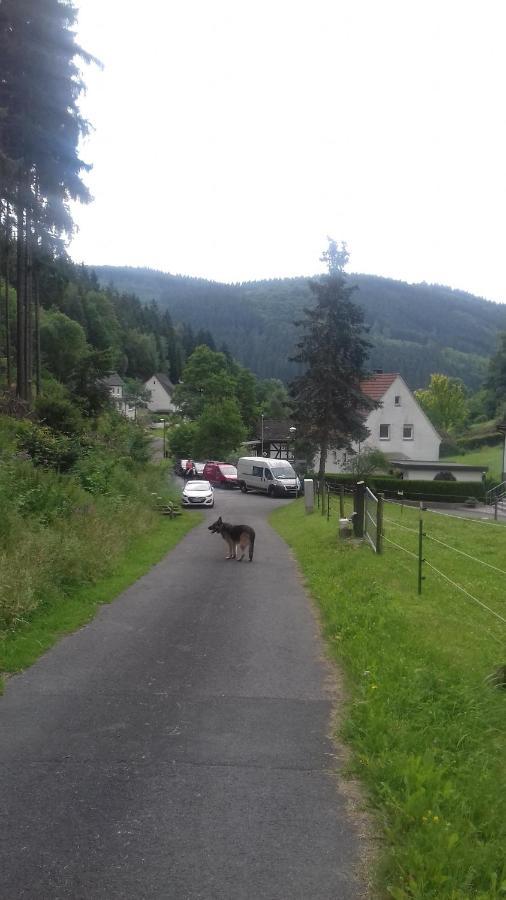 Fewo Pacohaus Naehe Willingen Diemelsee Brilon Eksteriør billede