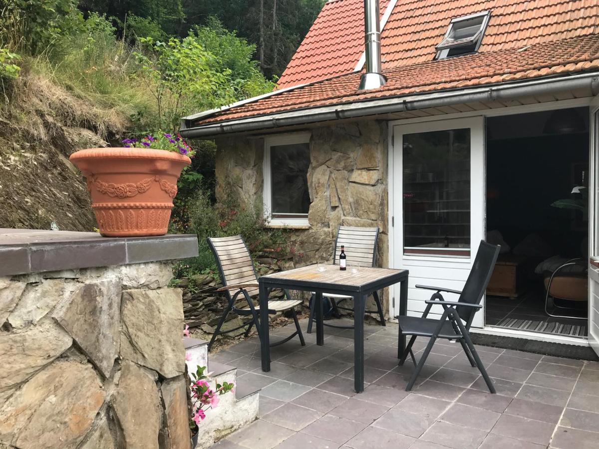 Fewo Pacohaus Naehe Willingen Diemelsee Brilon Eksteriør billede
